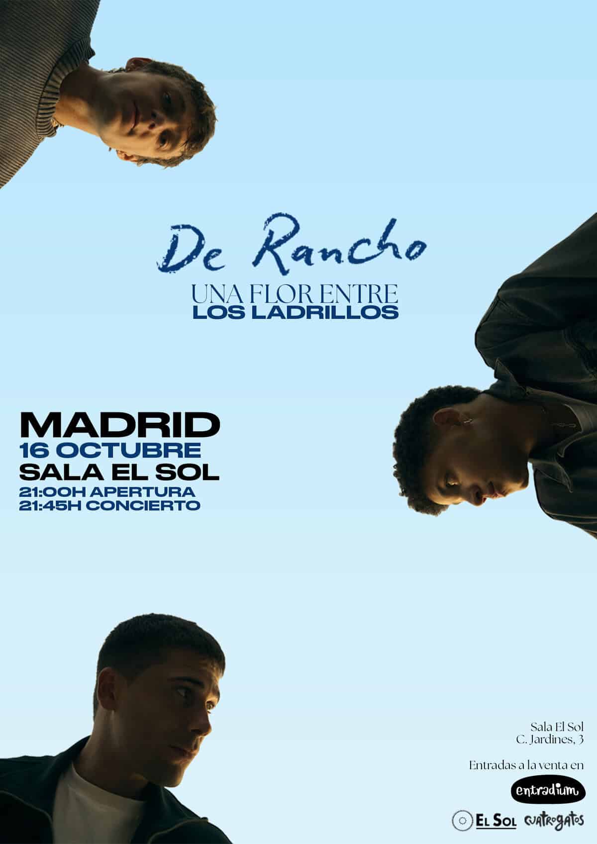 DE RANCHO en MADRID - UNA FLOR ENTRE LOS LADRILLOS