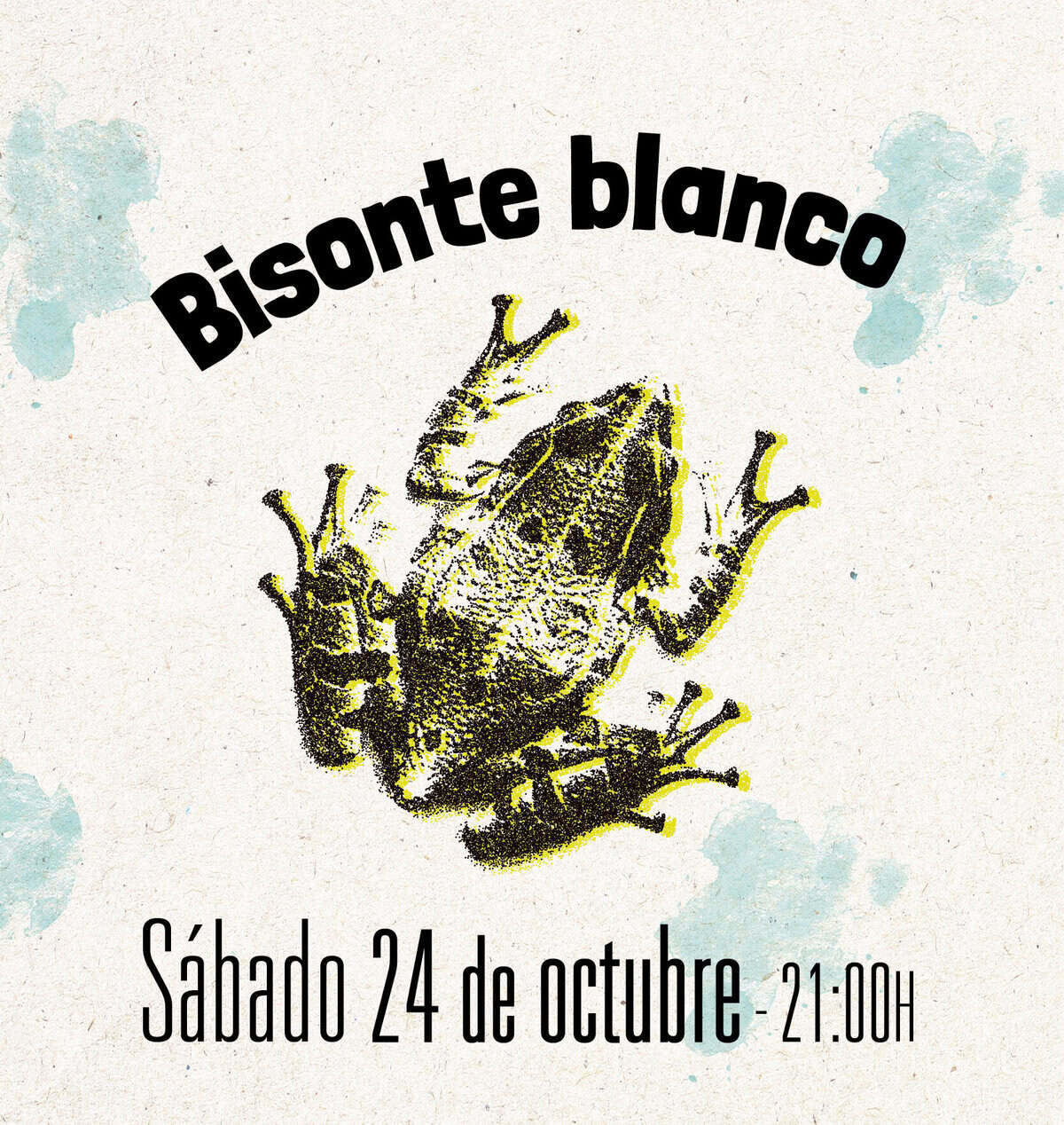 Bisonte Blanco en Madrid